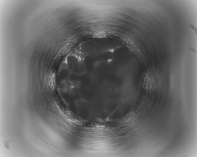 X0000100220598200806271729