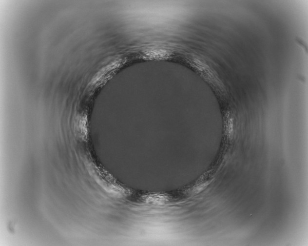 X0000100220599200806271729