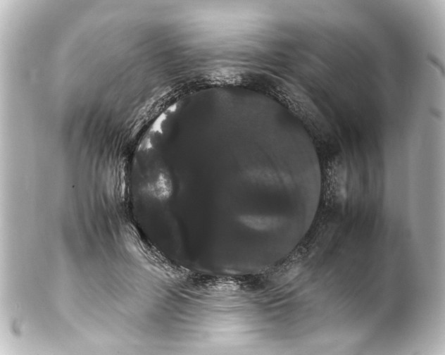 X0000100220600200806271729