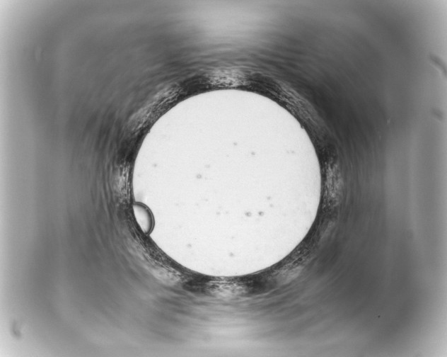 X0000100220601200806271729