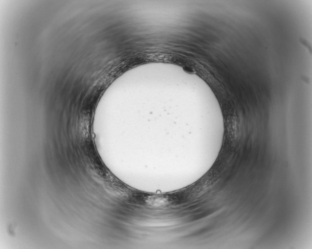 X0000100220602200806271729