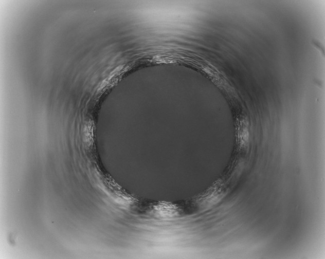 X0000100220603200806271729