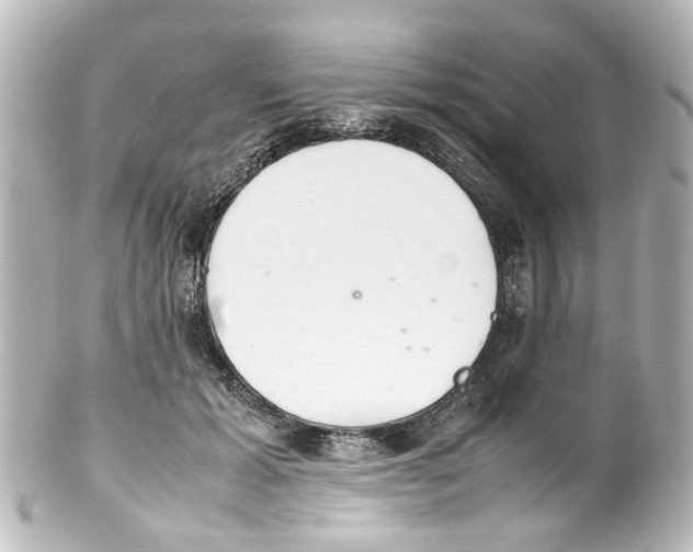 X0000100220605200806271729