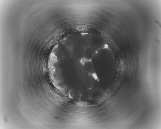 X0000100220606200806271729