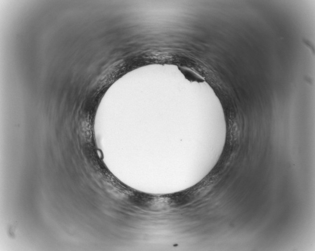 X0000100220609200806271729