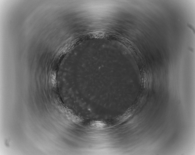 X0000100220610200806271729