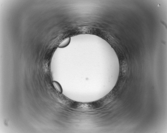 X0000100220611200806271728