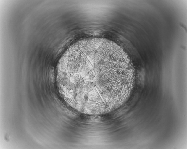 X0000100220612200806271728