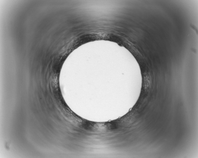 X0000100220613200806271728