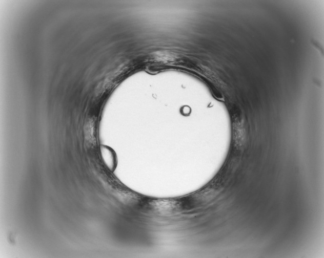 X0000100220615200806271728