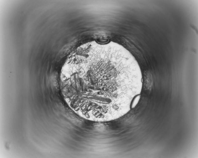 X0000100220616200806271728