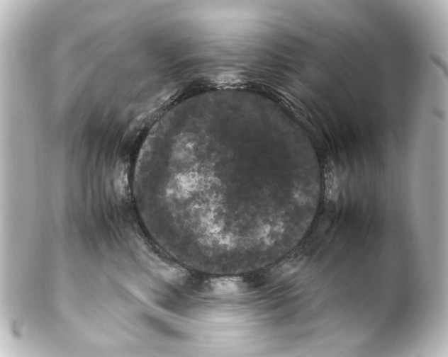 X0000100220618200806271728