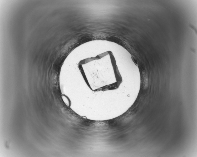 X0000100220619200806271728