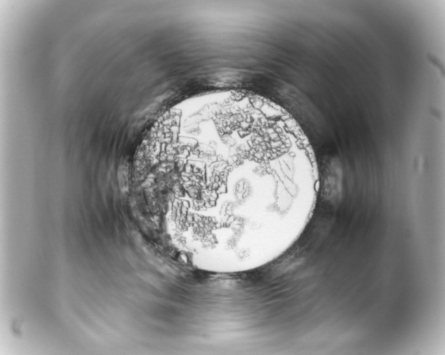 X0000100220620200806271728