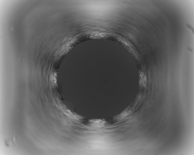 X0000100220621200806271728