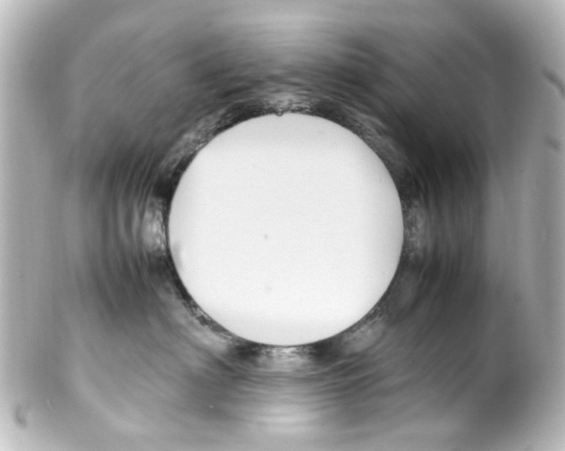 X0000100220622200806271728