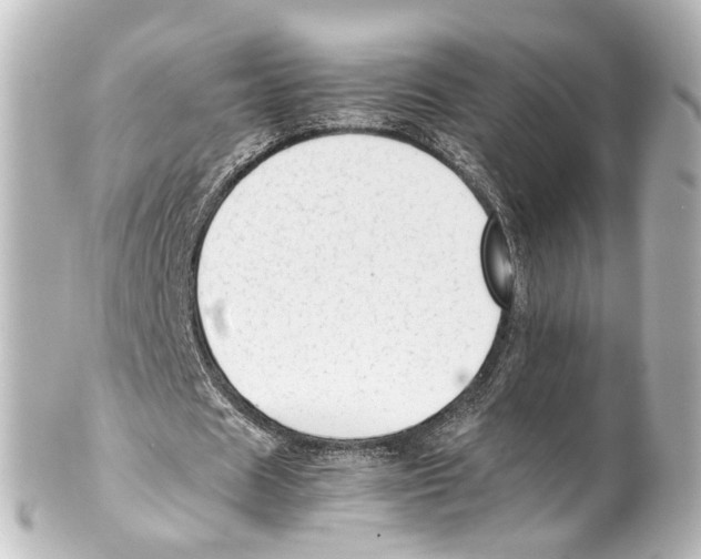 X0000100220625200806271728