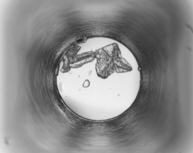 X0000100220626200806271728