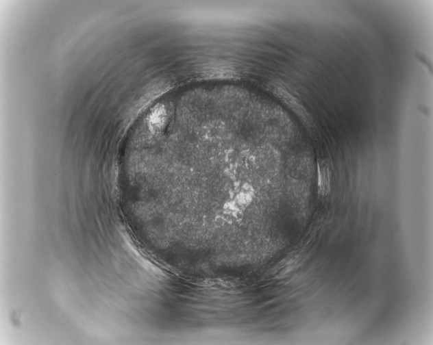 X0000100220627200806271728