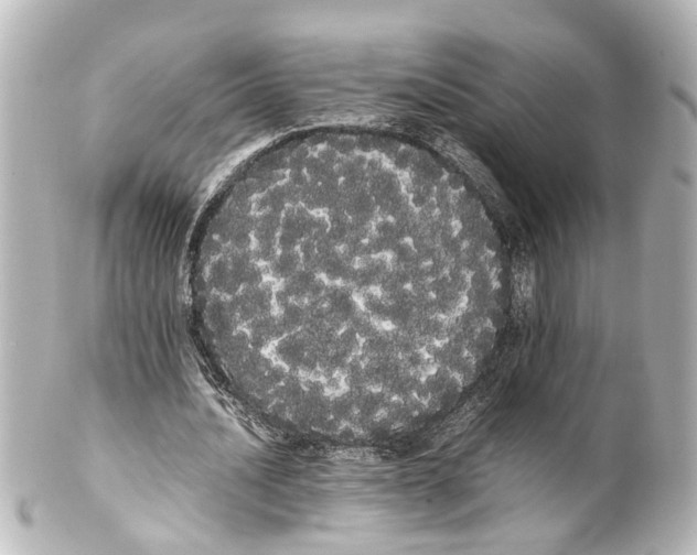 X0000100220628200806271728