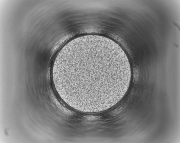 X0000100220629200806271728