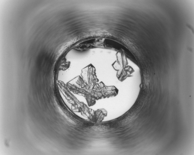 X0000100220630200806271728