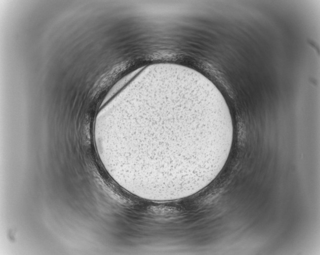 X0000100220633200806271728