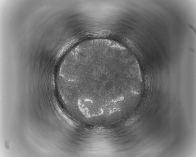 X0000100220634200806271728