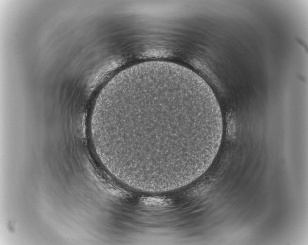 X0000100220635200806271728