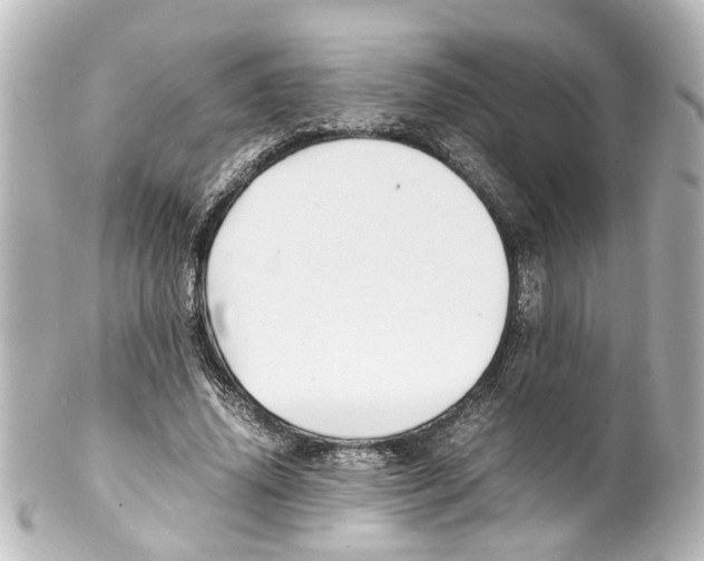 X0000100220636200806271728