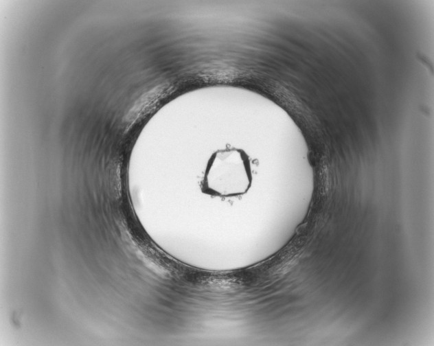 X0000100220638200806271728