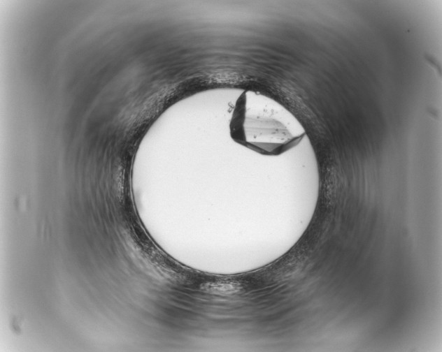 X0000100220639200806271728