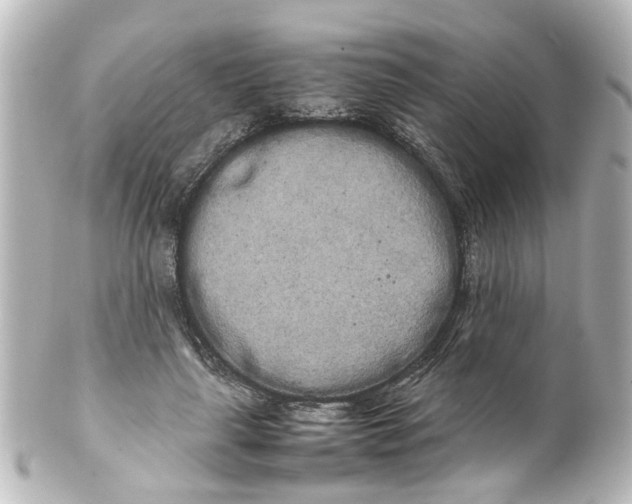 X0000100220643200806271728