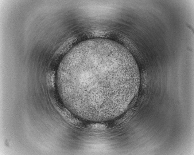 X0000100220644200806271728