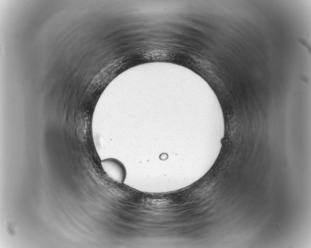 X0000100220645200806271728