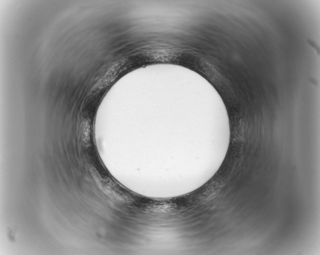 X0000100220646200806271728