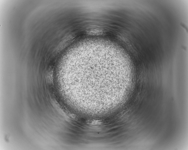 X0000100220647200806271728