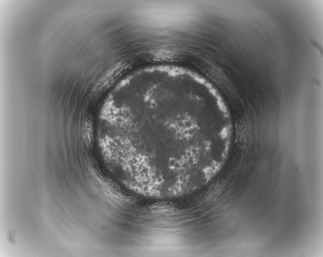 X0000100220648200806271728