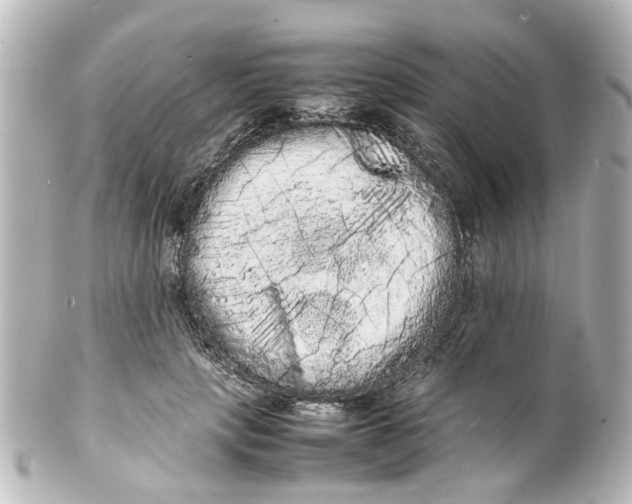 X0000100220649200806271728