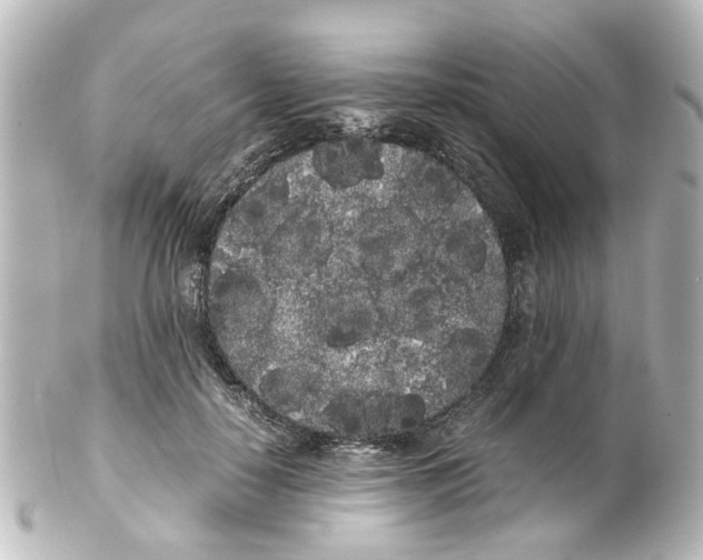 X0000100220650200806271728