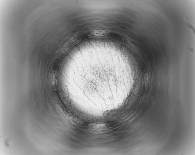 X0000100220651200806271728