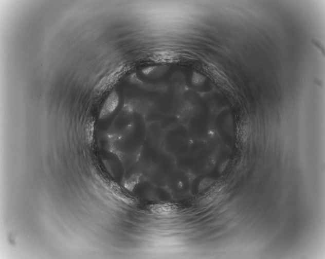 X0000100220652200806271728