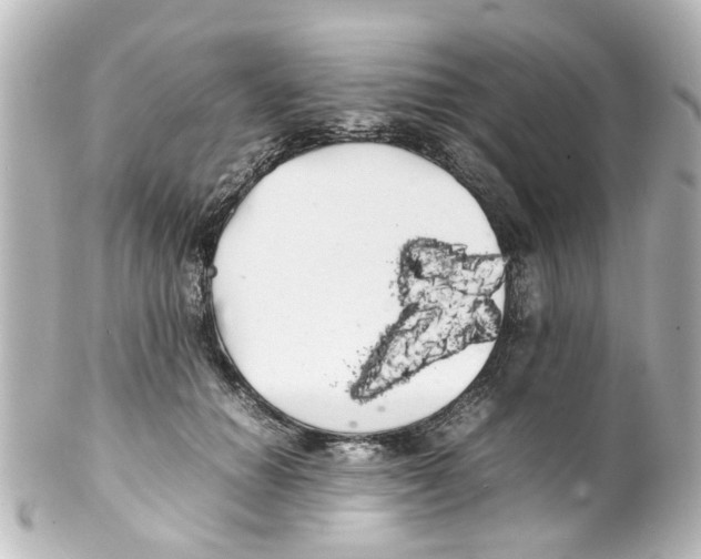 X0000100220654200806271728