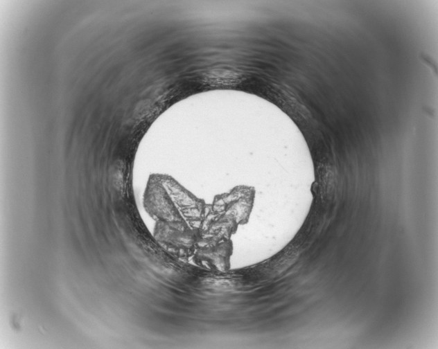 X0000100220655200806271728