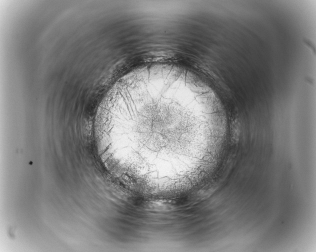 X0000100220657200806271728