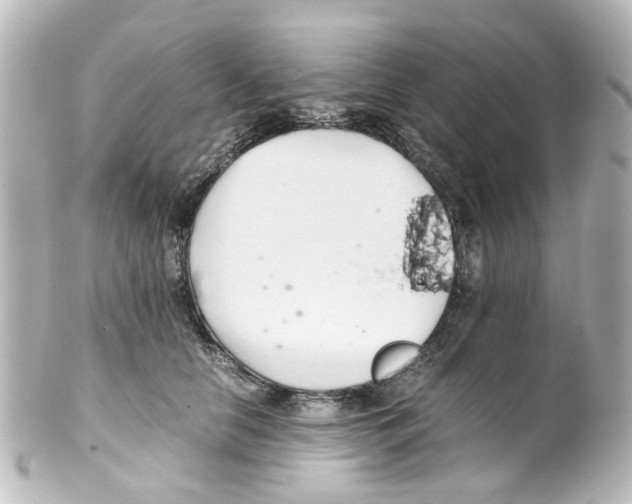 X0000100220658200806271728