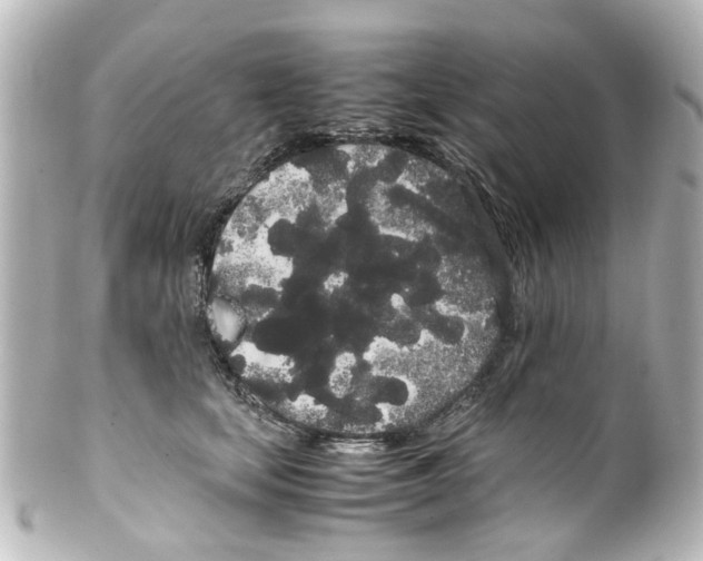 X0000100220659200806271728