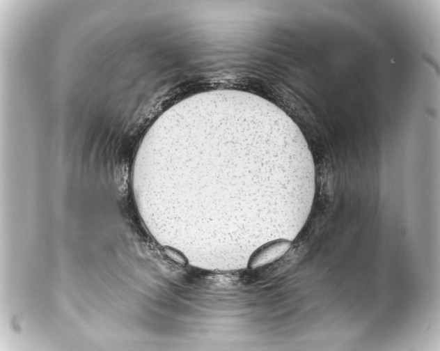 X0000100220660200806271728