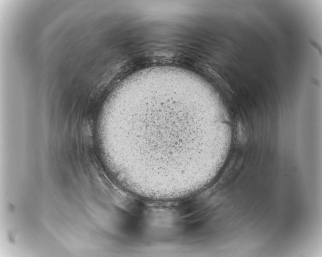 X0000100220661200806271728