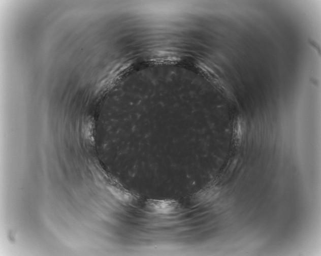 X0000100220663200806271728